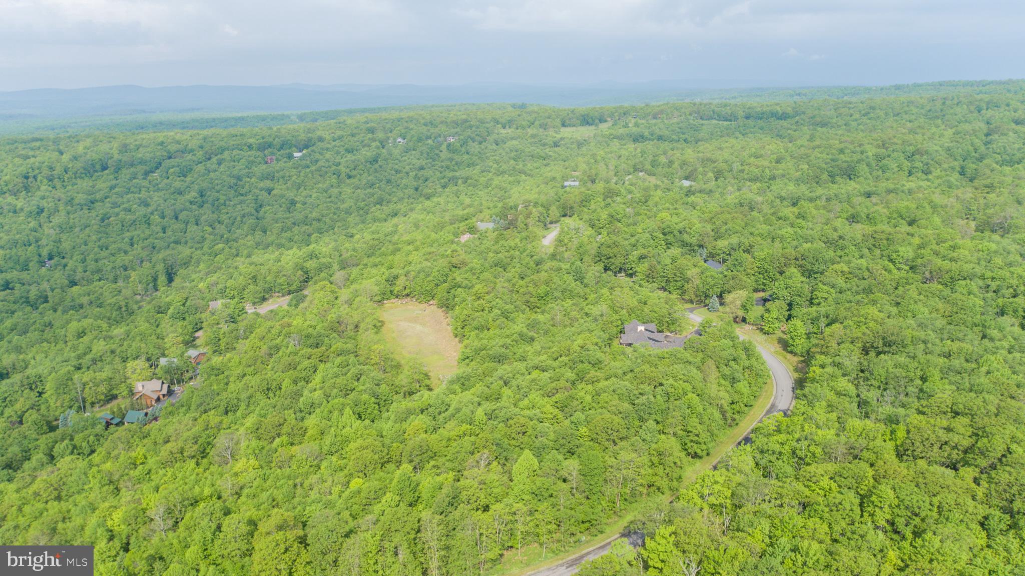 Lot 47 Mountaintop Road McHenry, MD 21541 - Photo 26 of 26 a view of a big yard with large trees