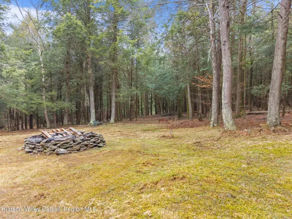 a view of backyard space and tree