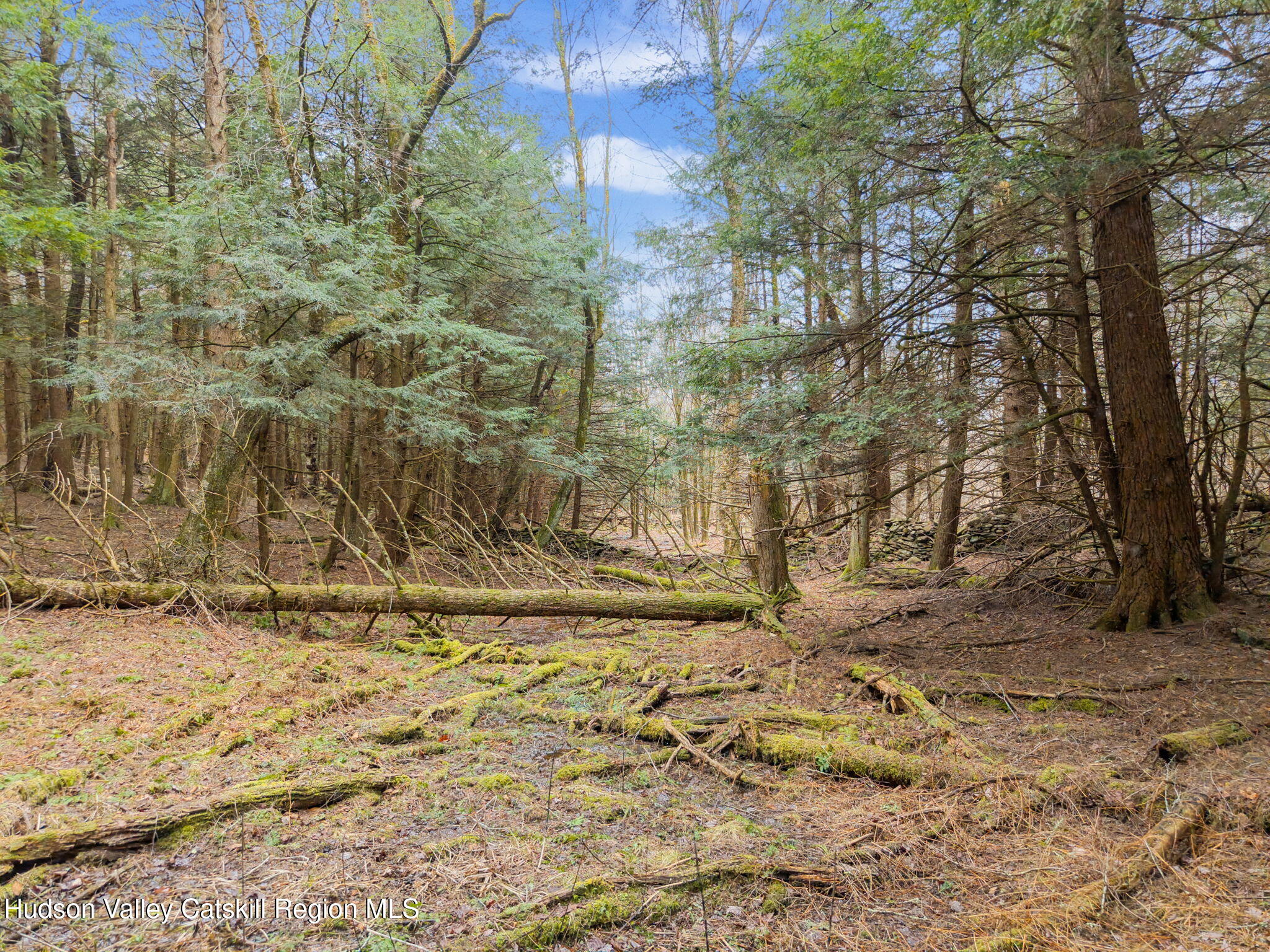 202 Blakesley Road, Unit PRIVATE Gilboa, NY 12076 - Photo 29 of 39 a view of under construction area