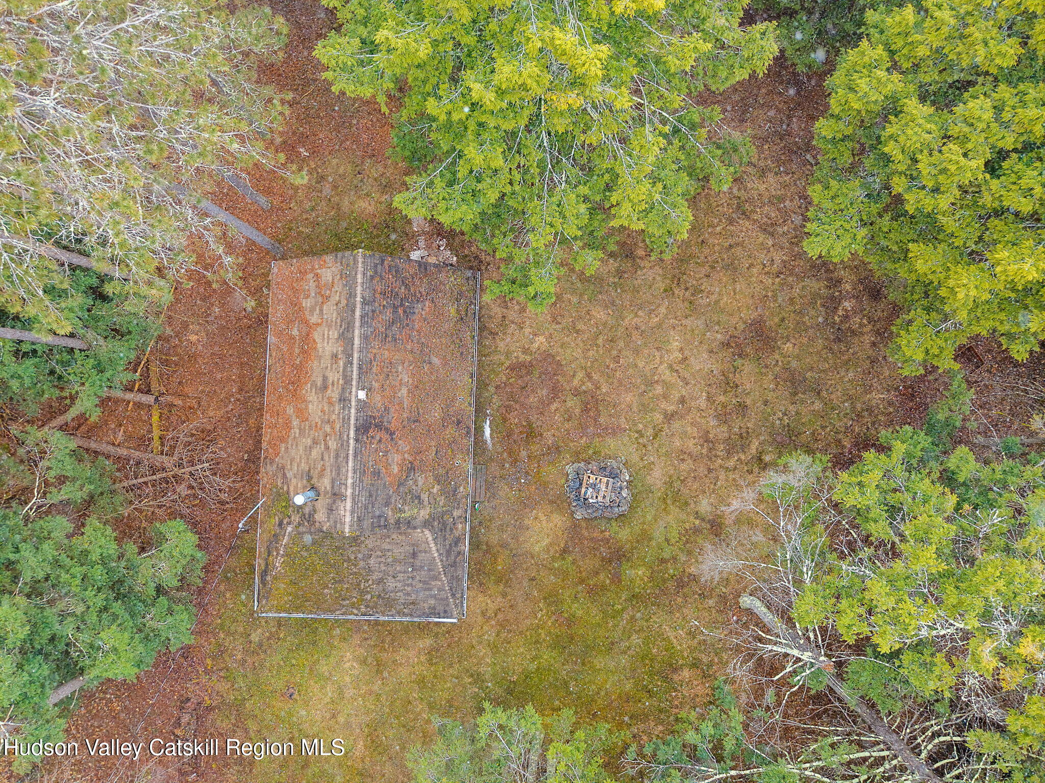 202 Blakesley Road, Unit PRIVATE Gilboa, NY 12076 - Photo 31 of 39 a view of a tree with an outdoor space