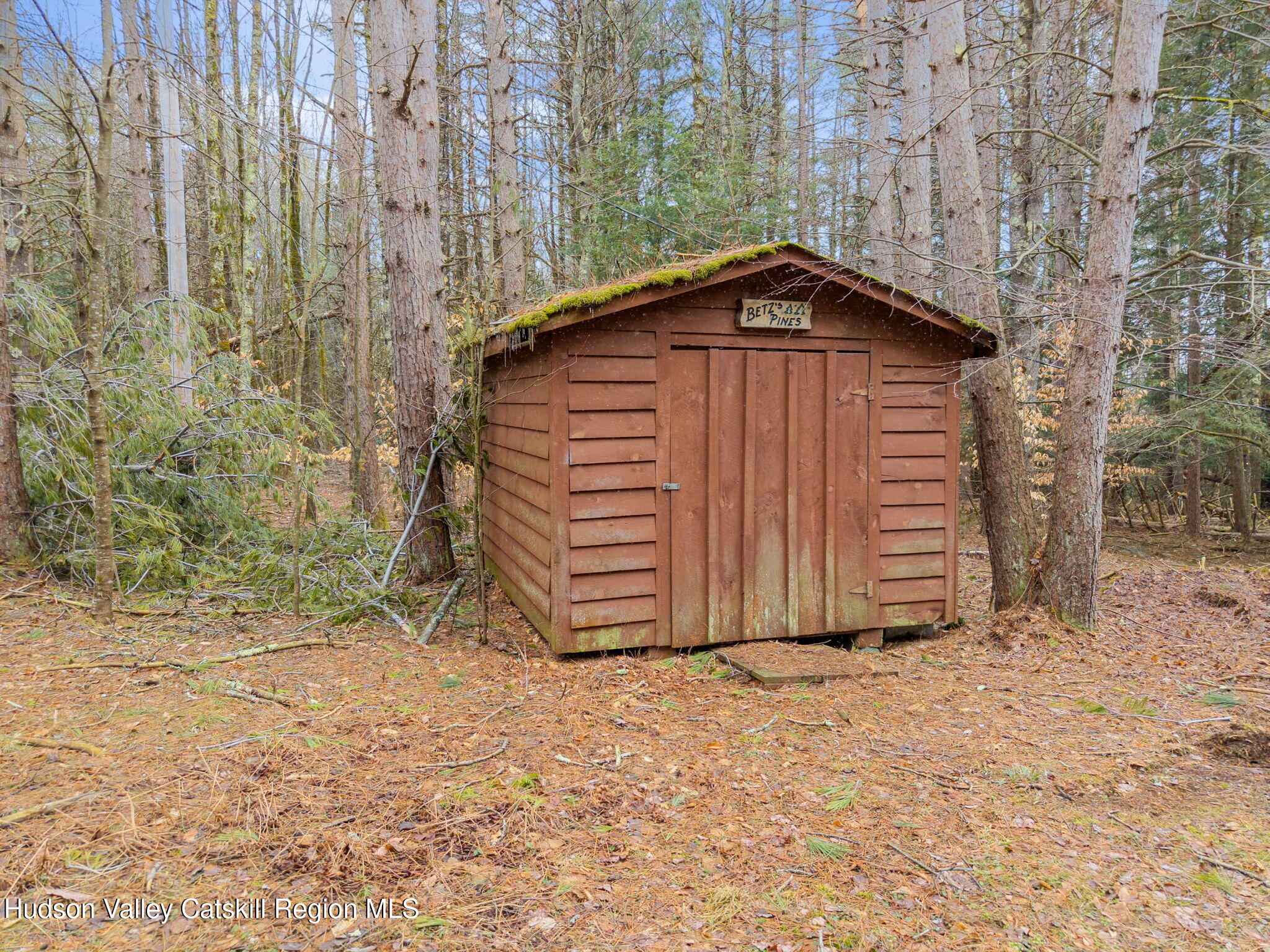 202 Blakesley Road, Unit PRIVATE Gilboa, NY 12076 - Photo 32 of 39 a view of a house with wooden fence