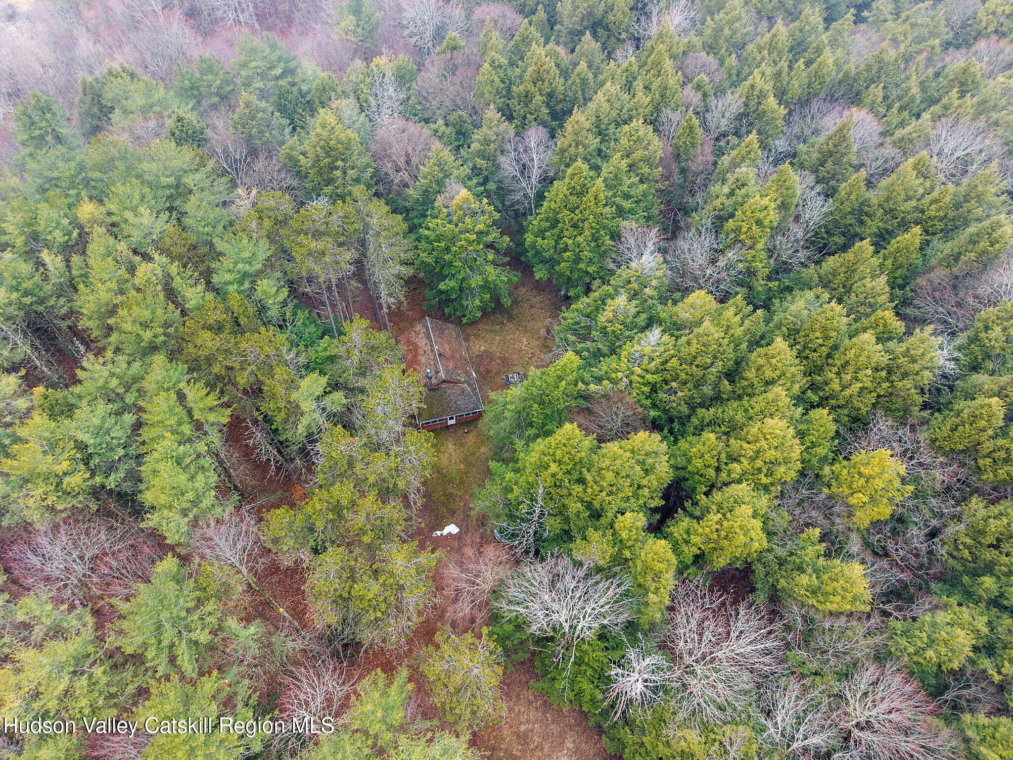 202 Blakesley Road, Unit PRIVATE Gilboa, NY 12076 - Photo 33 of 39