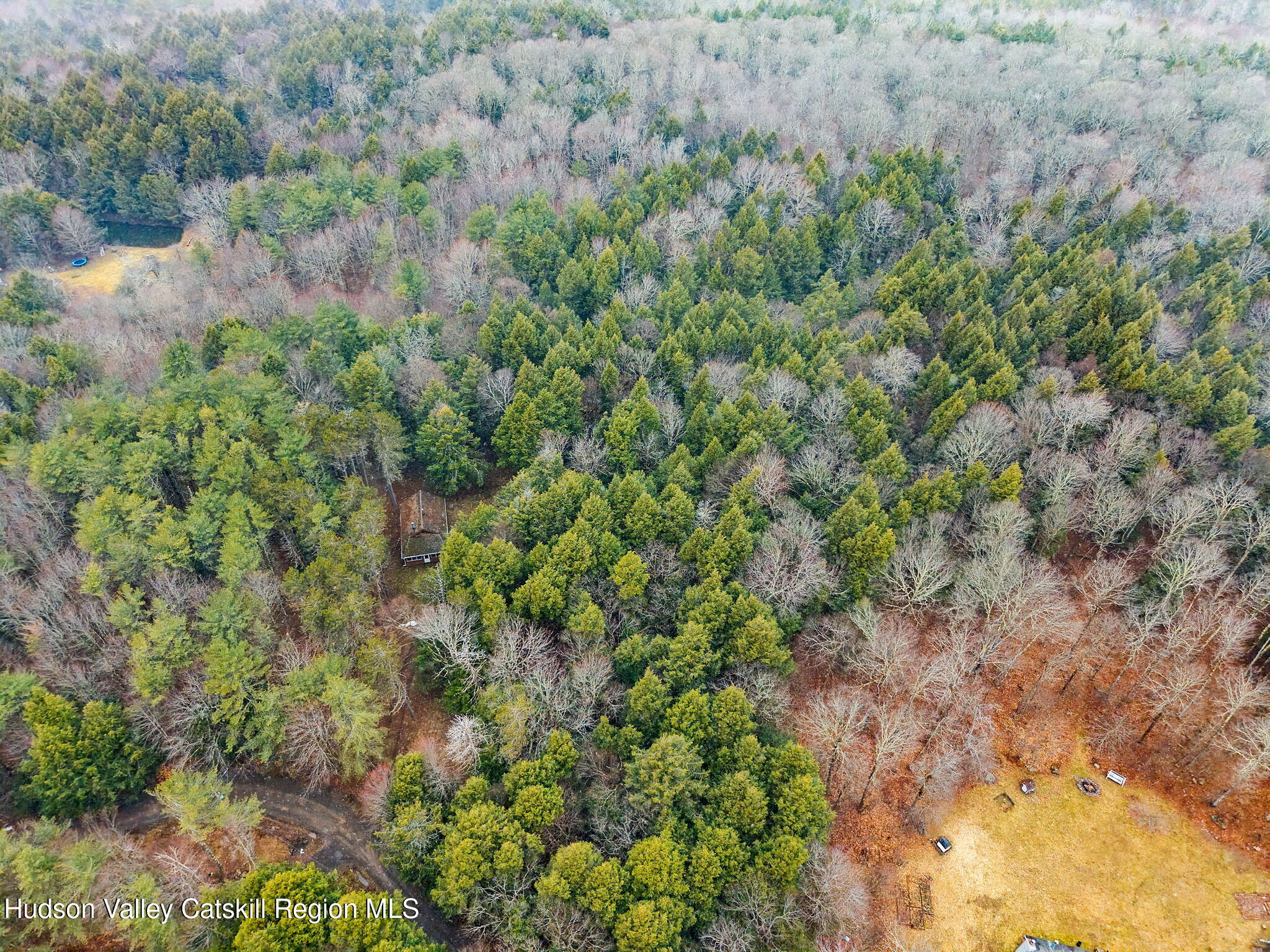 202 Blakesley Road, Unit PRIVATE Gilboa, NY 12076 - Photo 34 of 39 a view of a forest with a tree