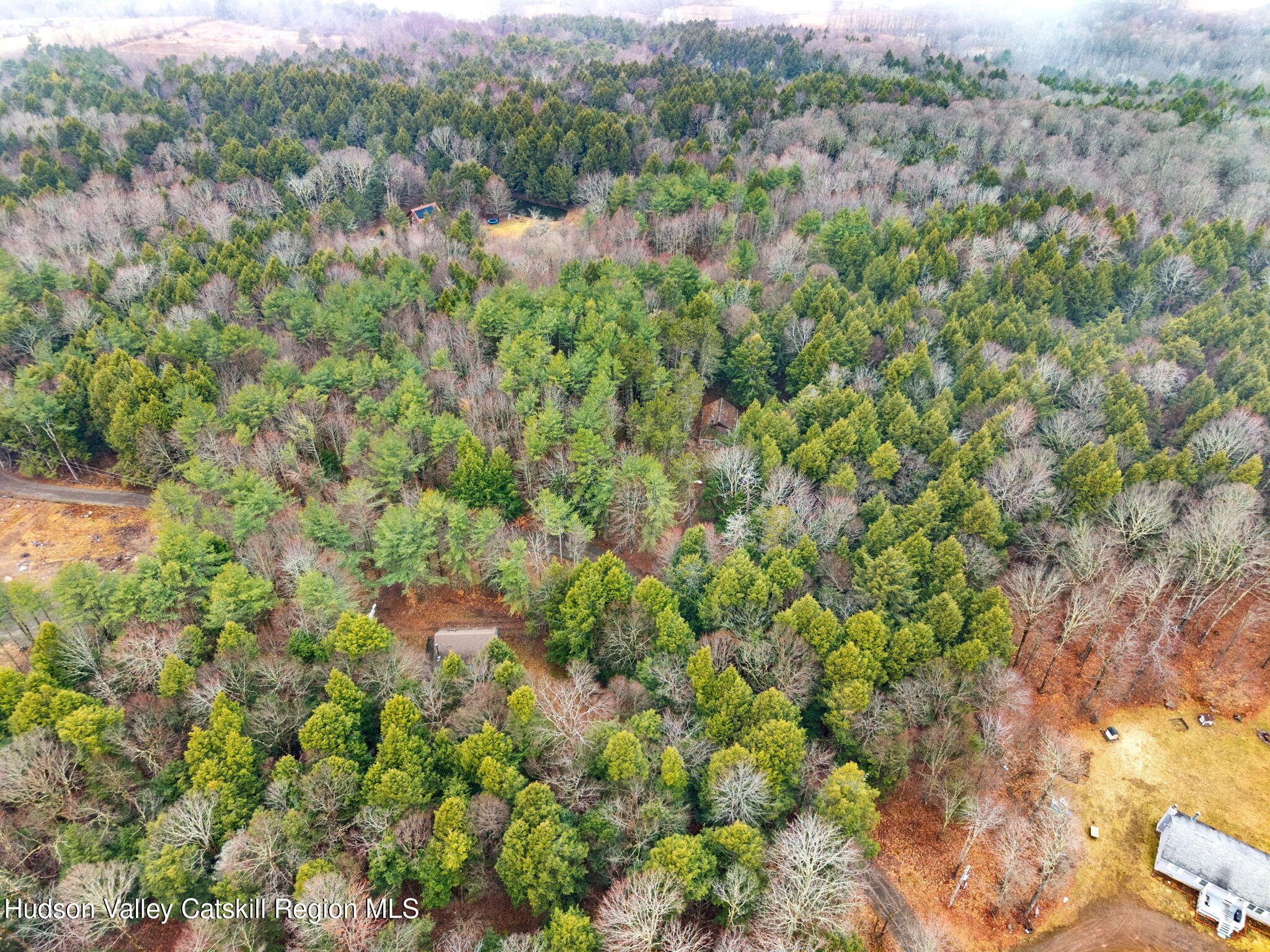 202 Blakesley Road, Unit PRIVATE Gilboa, NY 12076 - Photo 35 of 39 a view of a lush green forest with lots of trees