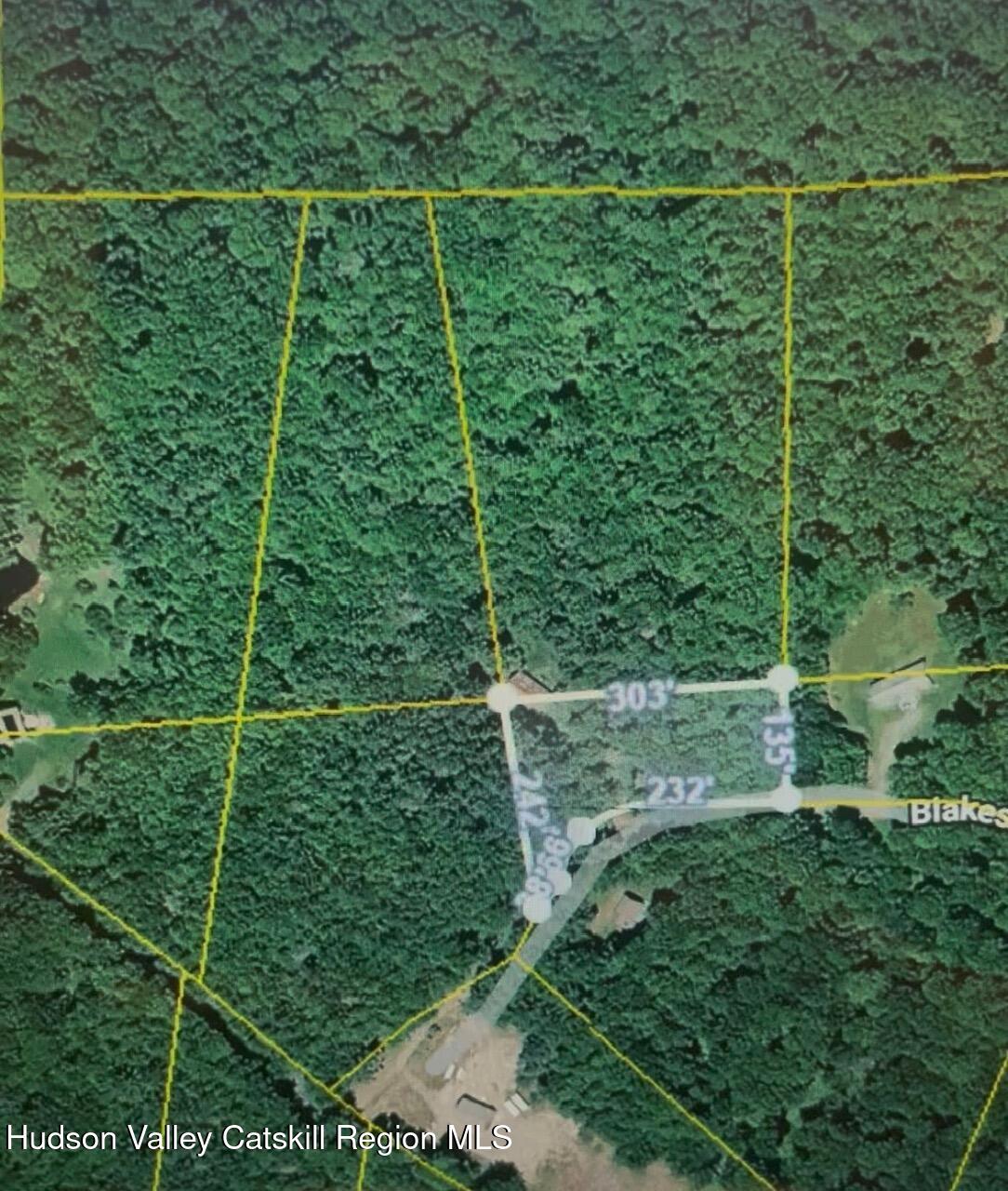 202 Blakesley Road, Unit PRIVATE Gilboa, NY 12076 - Photo 38 of 39 a view of a yard