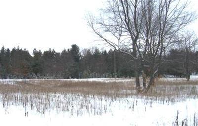 16154 7 Mile Road Stanwood, MI 49346 - Photo 9 of 11 Additional Photo