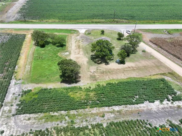 a view of a garden with a pathway