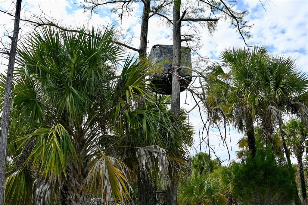 Black Burn Road Naples, FL 34117 - Photo 34 of 39 Gallery Image 34