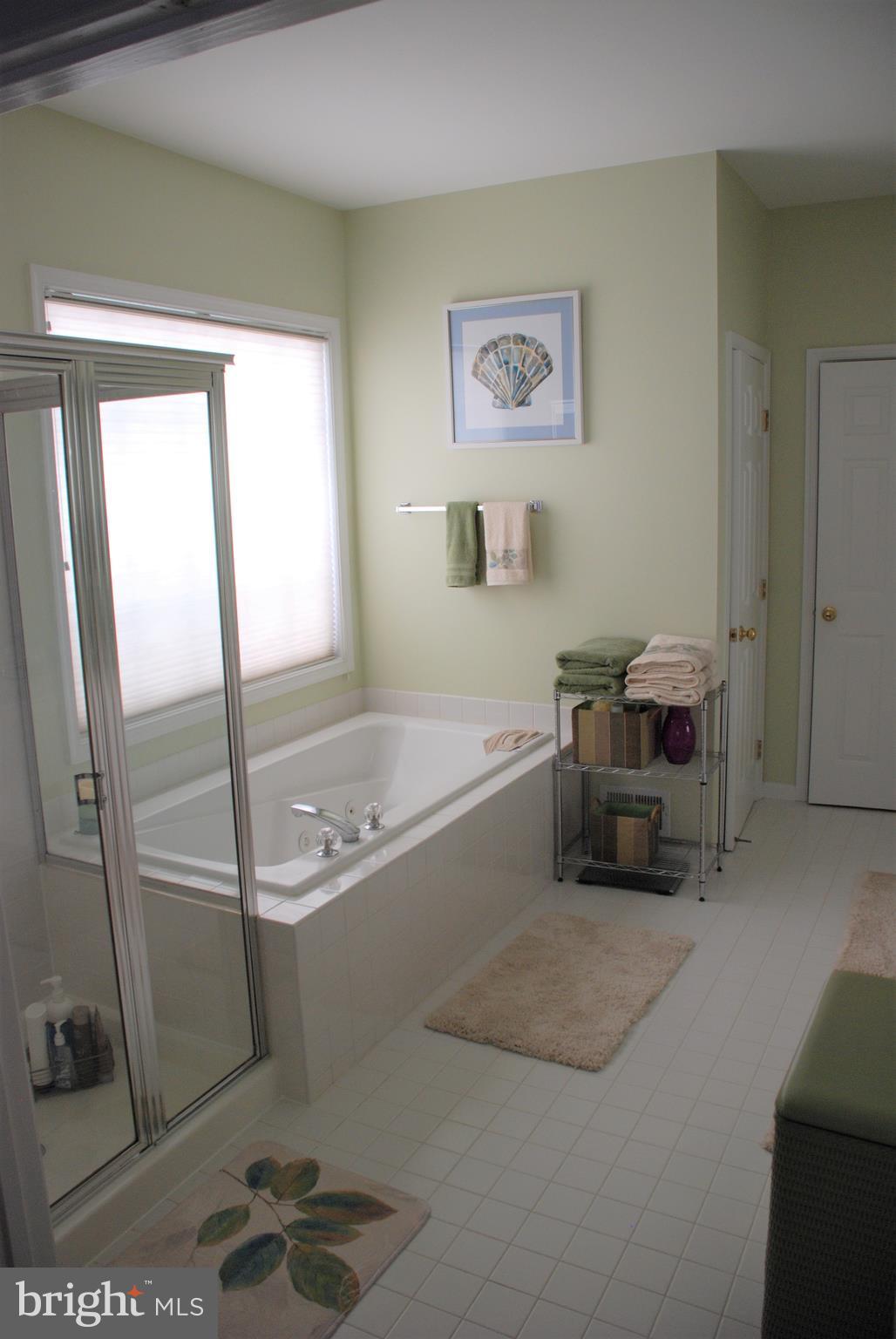 12382 Brown Fox Way Reston, VA 20191 - Photo 11 of 21 Jacuzzi Soaking Tub, Sep Shower, Walk-in Closet