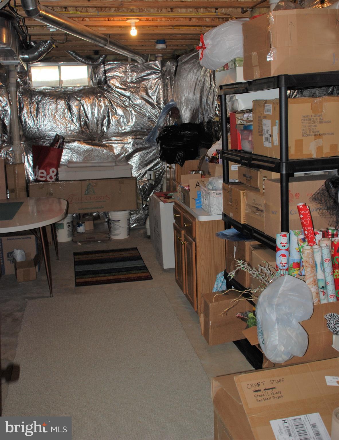 12382 Brown Fox Way Reston, VA 20191 - Photo 16 of 21 Everyone needs storage