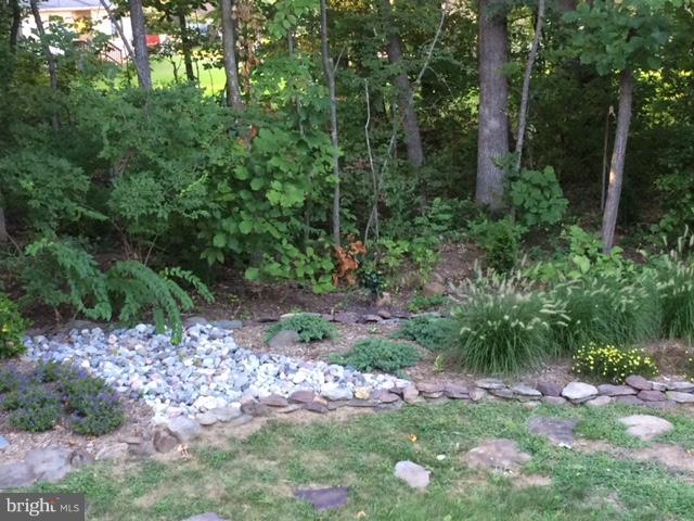 12382 Brown Fox Way Reston, VA 20191 - Photo 17 of 21 Rock garden in rear yard