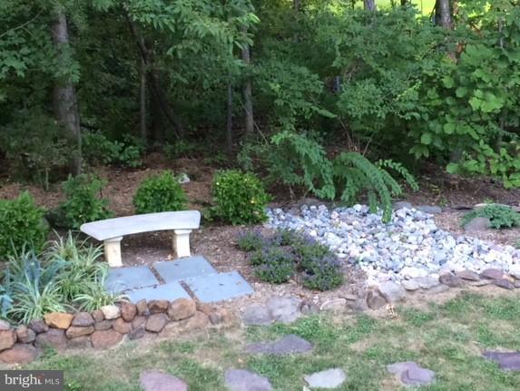 12382 Brown Fox Way Reston, VA 20191 - Photo 18 of 21 Flowering perennials in rear yard