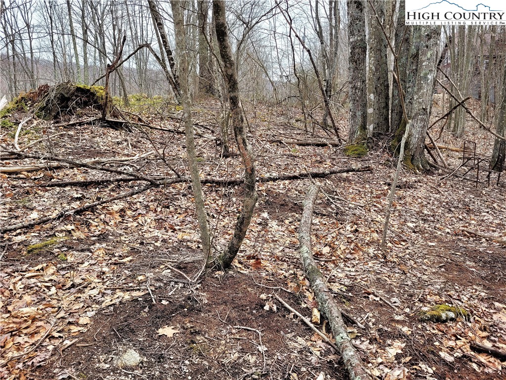 146 Raccoon Road Beech Mountain, NC 28604 - Photo 11 of 12