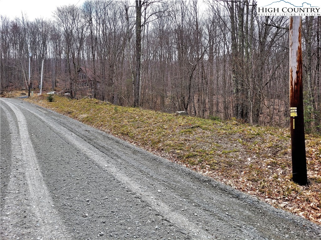 146 Raccoon Road Beech Mountain, NC 28604 - Photo 2 of 12