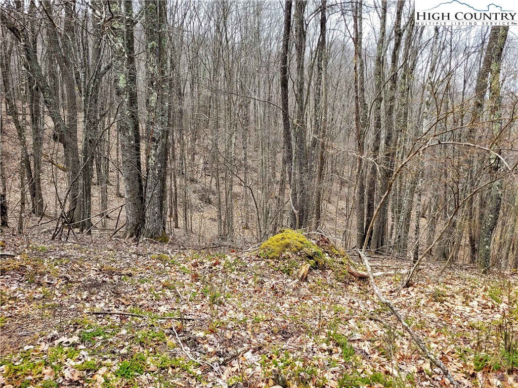 146 Raccoon Road Beech Mountain, NC 28604 - Photo 3 of 12