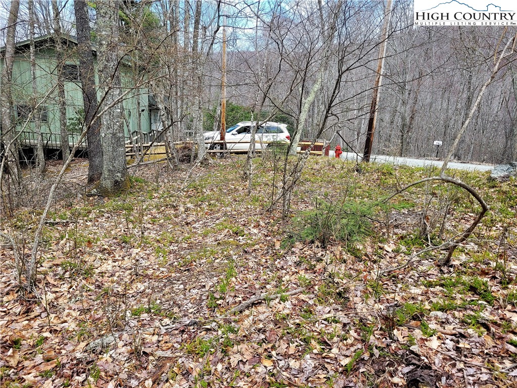 146 Raccoon Road Beech Mountain, NC 28604 - Photo 4 of 12