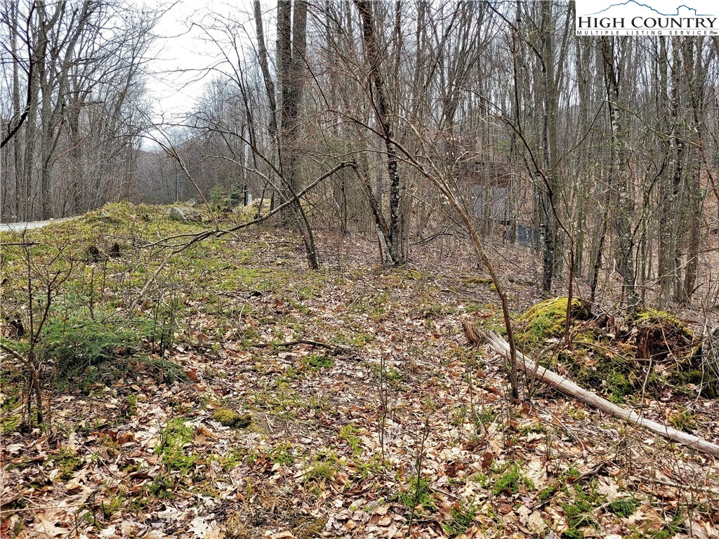 146 Raccoon Road Beech Mountain, NC 28604 - Photo 5 of 12