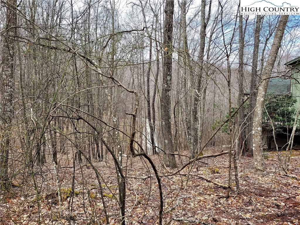 146 Raccoon Road Beech Mountain, NC 28604 - Photo 8 of 12