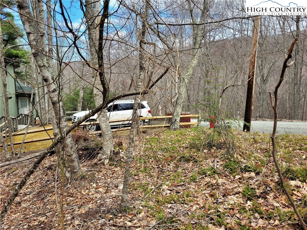 146 Raccoon Road Beech Mountain, NC 28604 - Photo 9 of 12