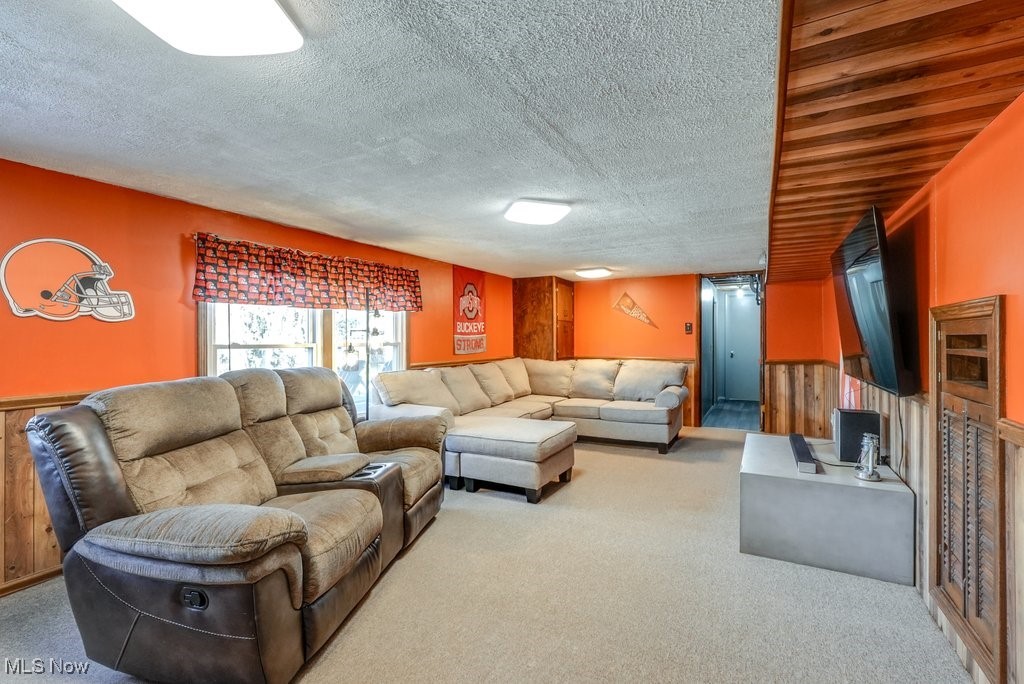 1157 Bass Circle Northwest Canton, OH 44708 - Photo 19 of 31 Carpeted living area with wood walls and a textured ceiling