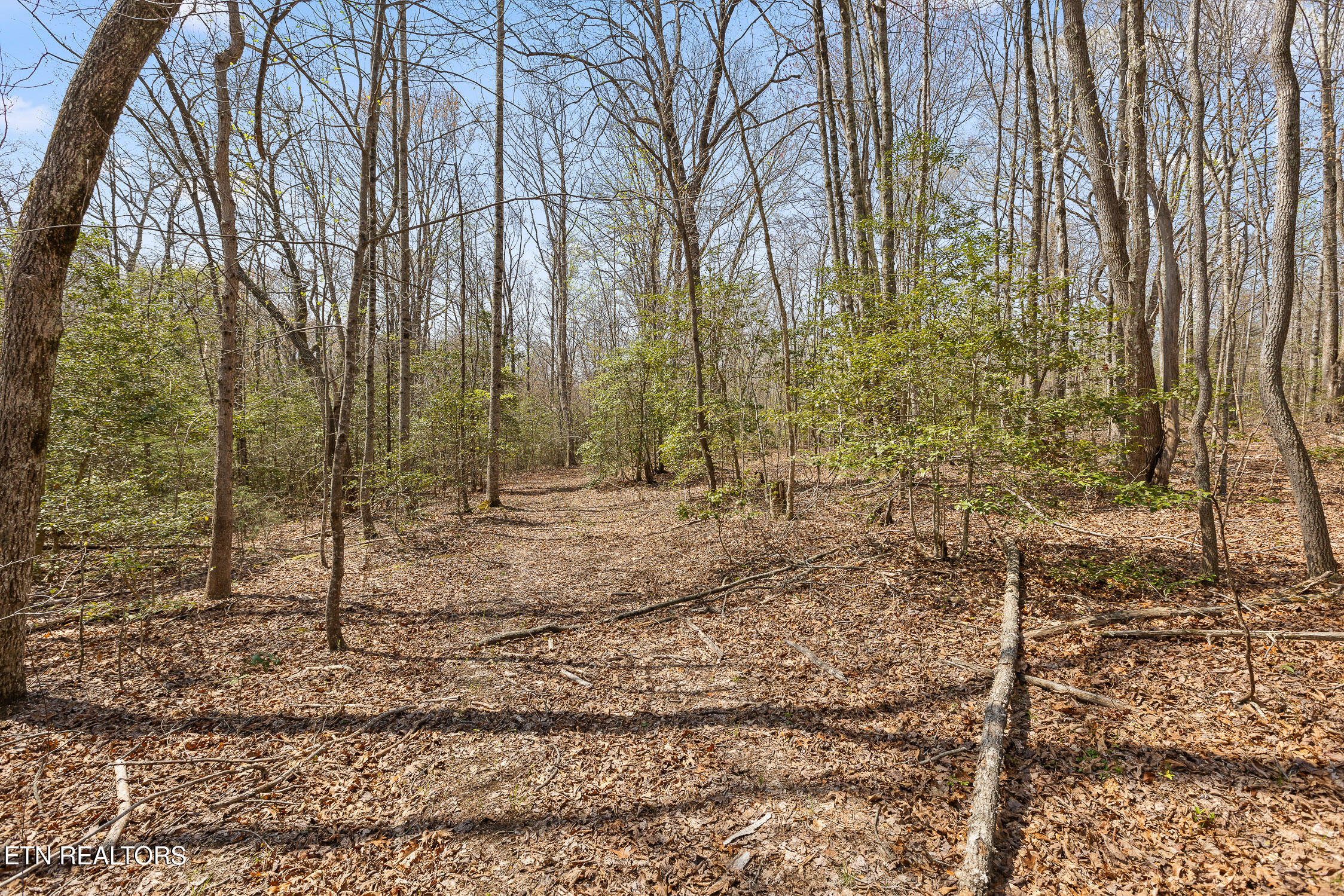 17.65 Blaine Smith Road Graysville, TN 37338 - Photo 8 of 11 22-Blain-21