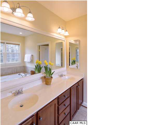 3333 Darby Road, Unit T271 Keswick, VA 22947 - Photo 16 of 32 a bathroom with a sink and a mirror