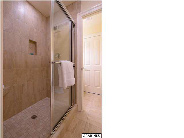 3333 Darby Road, Unit T271 Keswick, VA 22947 - Photo 21 of 32 a bathroom with a glass shower door