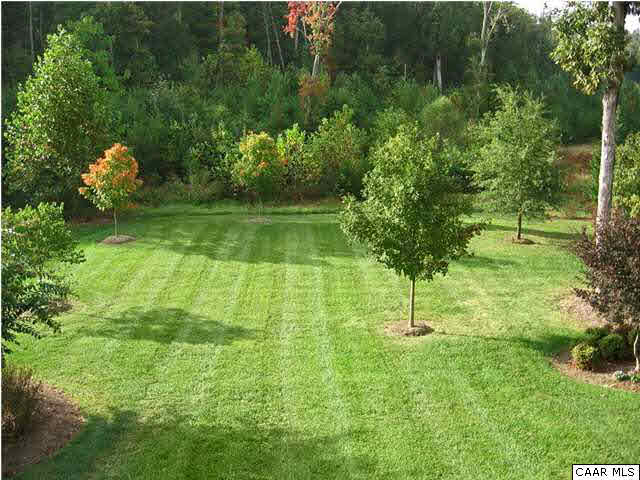 3333 Darby Road, Unit T271 Keswick, VA 22947 - Photo 28 of 32 a view of yard with green space