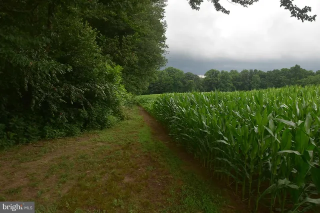 $750,000 | 263 Smokey Lane, Smyrna, DE 19977