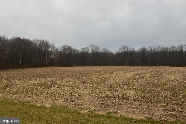 $730,000 | 263 Smokey Lane, Smyrna, DE 19977