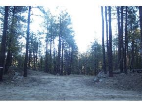 5875 Old Walker Road Prescott, AZ 86303 - Photo 1 of 5 Primary Photo