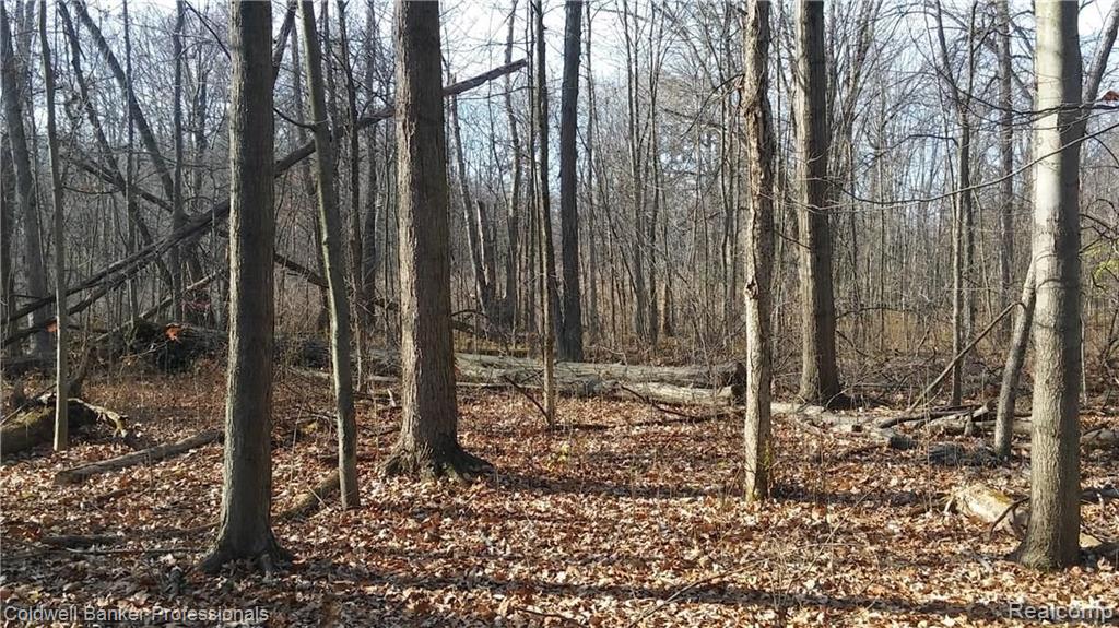 Eight West Eight Mile Road South Lyon, MI 48178 - Photo 13 of 58