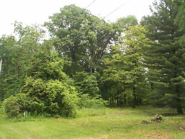 6334 West Logan Road Powell, OH 43065 - Photo 9 of 10