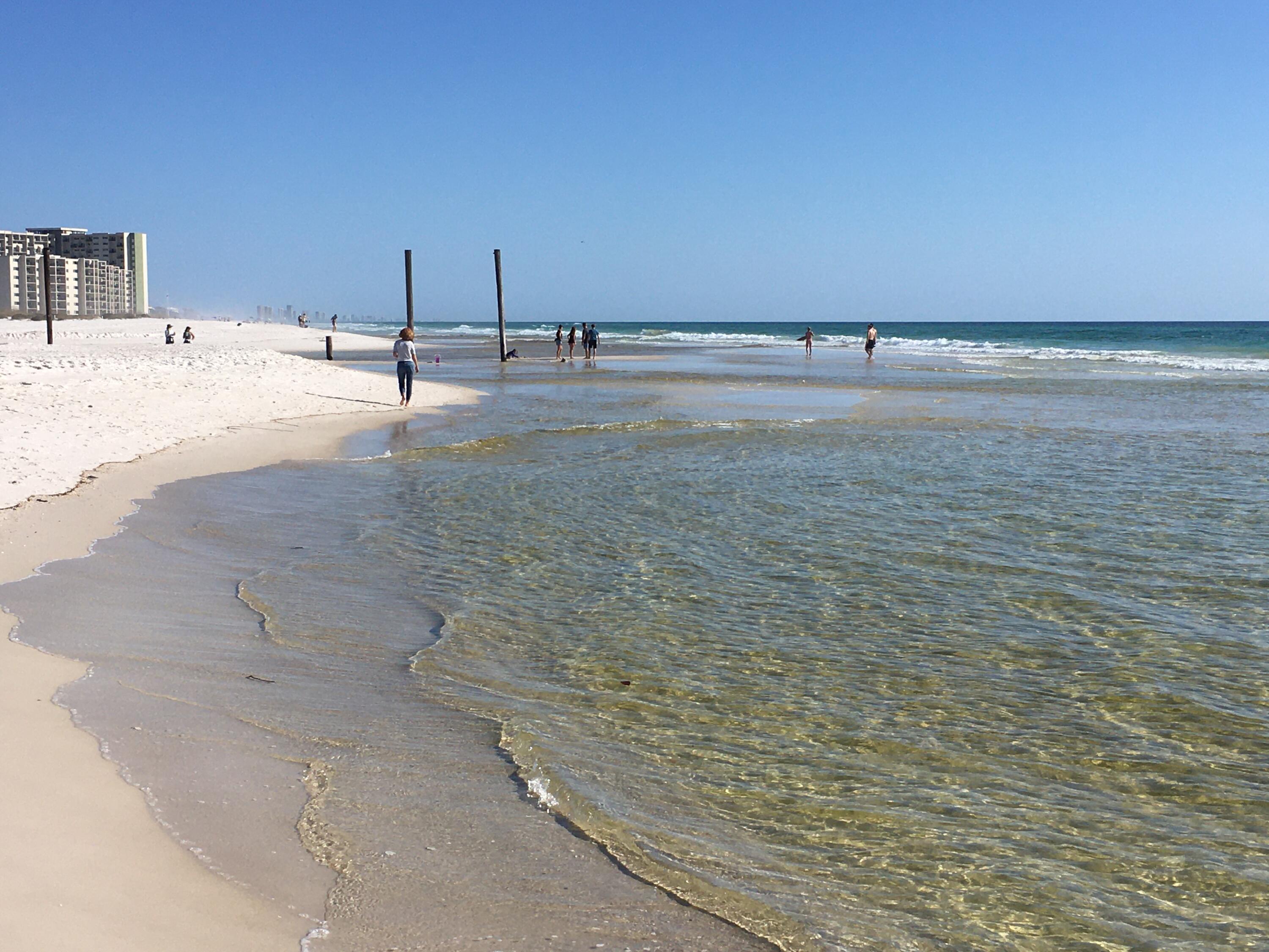 195 Walton Magnolia Lane Inlet Beach, FL 32461 - Photo 35 of 40 F6A2DE32-09F2-4466-ACC4-9940E00D75DF