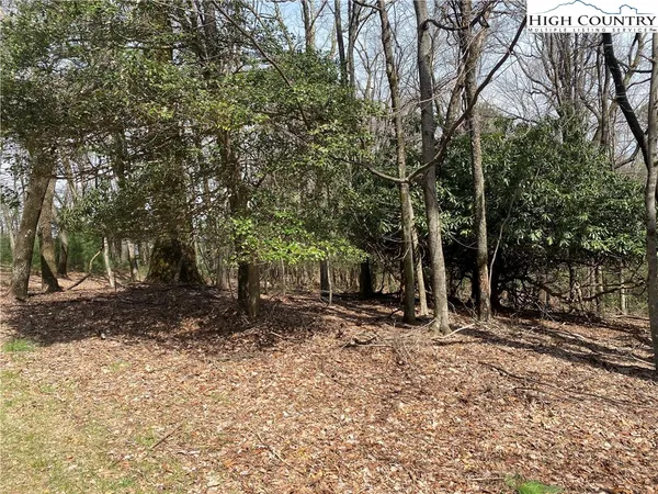 $31,900 | Lot 6 Hickory Hill Lane, Glade Valley, NC 28627