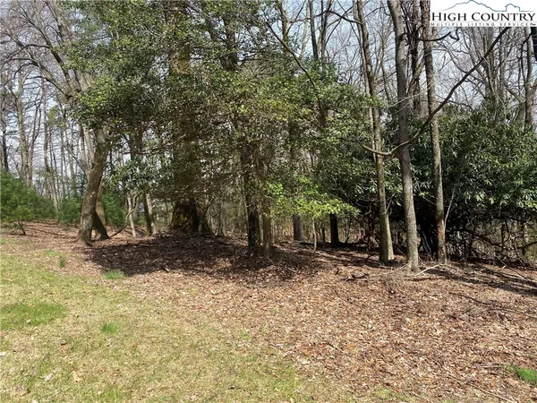$31,900 | Lot 6 Hickory Hill Lane, Glade Valley, NC 28627