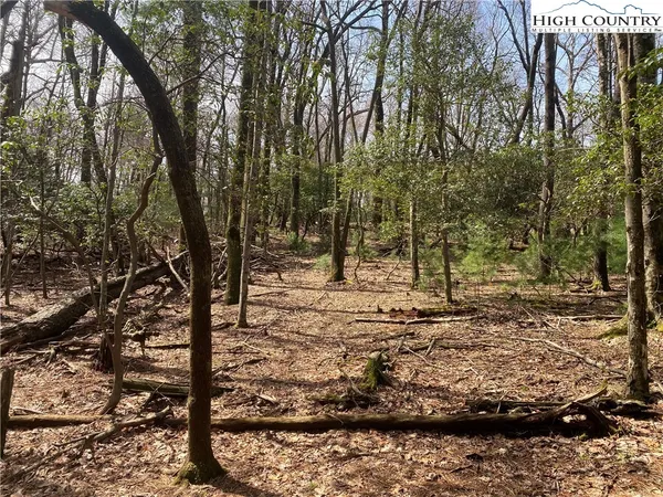 $31,900 | Lot 6 Hickory Hill Lane, Glade Valley, NC 28627