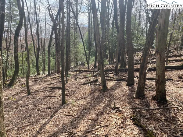 $31,900 | Lot 6 Hickory Hill Lane, Glade Valley, NC 28627