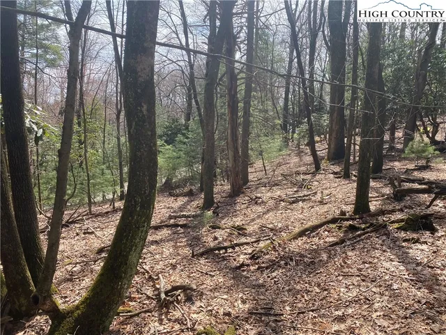 $31,900 | Lot 6 Hickory Hill Lane, Glade Valley, NC 28627