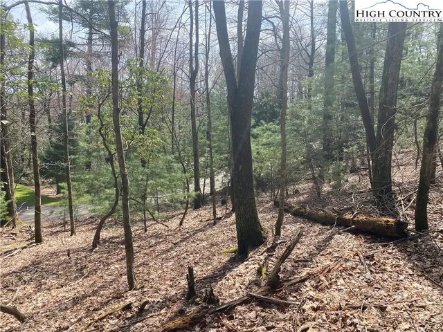 $31,900 | Lot 6 Hickory Hill Lane, Glade Valley, NC 28627