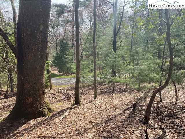 $31,900 | Lot 6 Hickory Hill Lane, Glade Valley, NC 28627