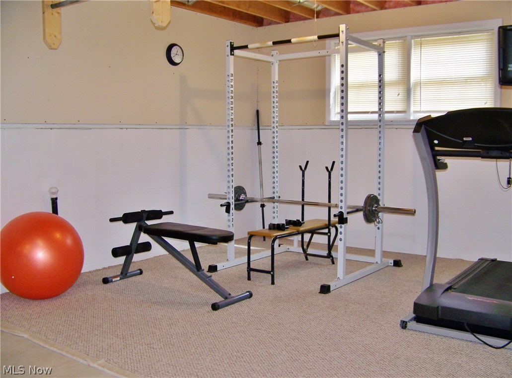 4531 Windfall Road Medina, OH 44256 - Photo 28 of 31 Exercise area