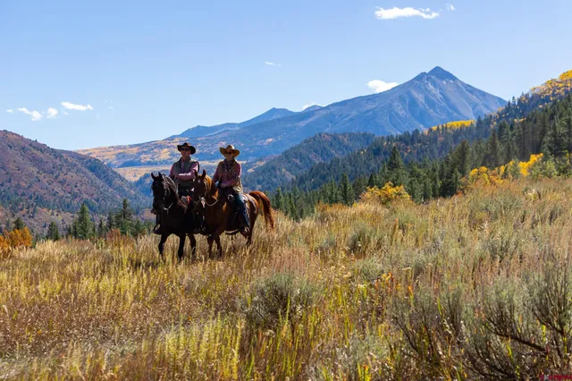 a view of a back yard