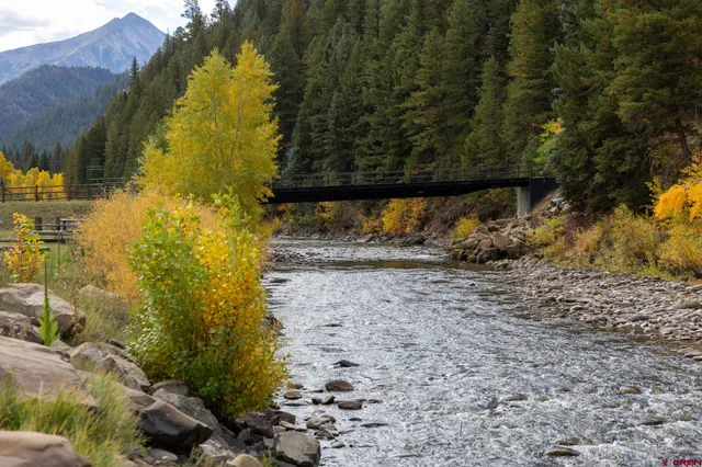 a view of back yard of the house