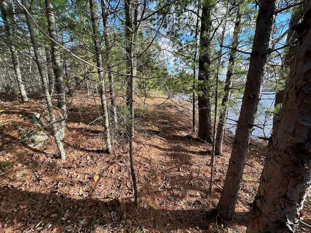 $274,500 | Tbd Wilderness Way Road, Orr, MN 55771