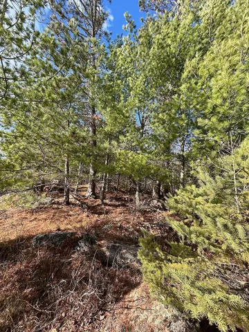 $274,500 | Tbd Wilderness Way Road, Orr, MN 55771