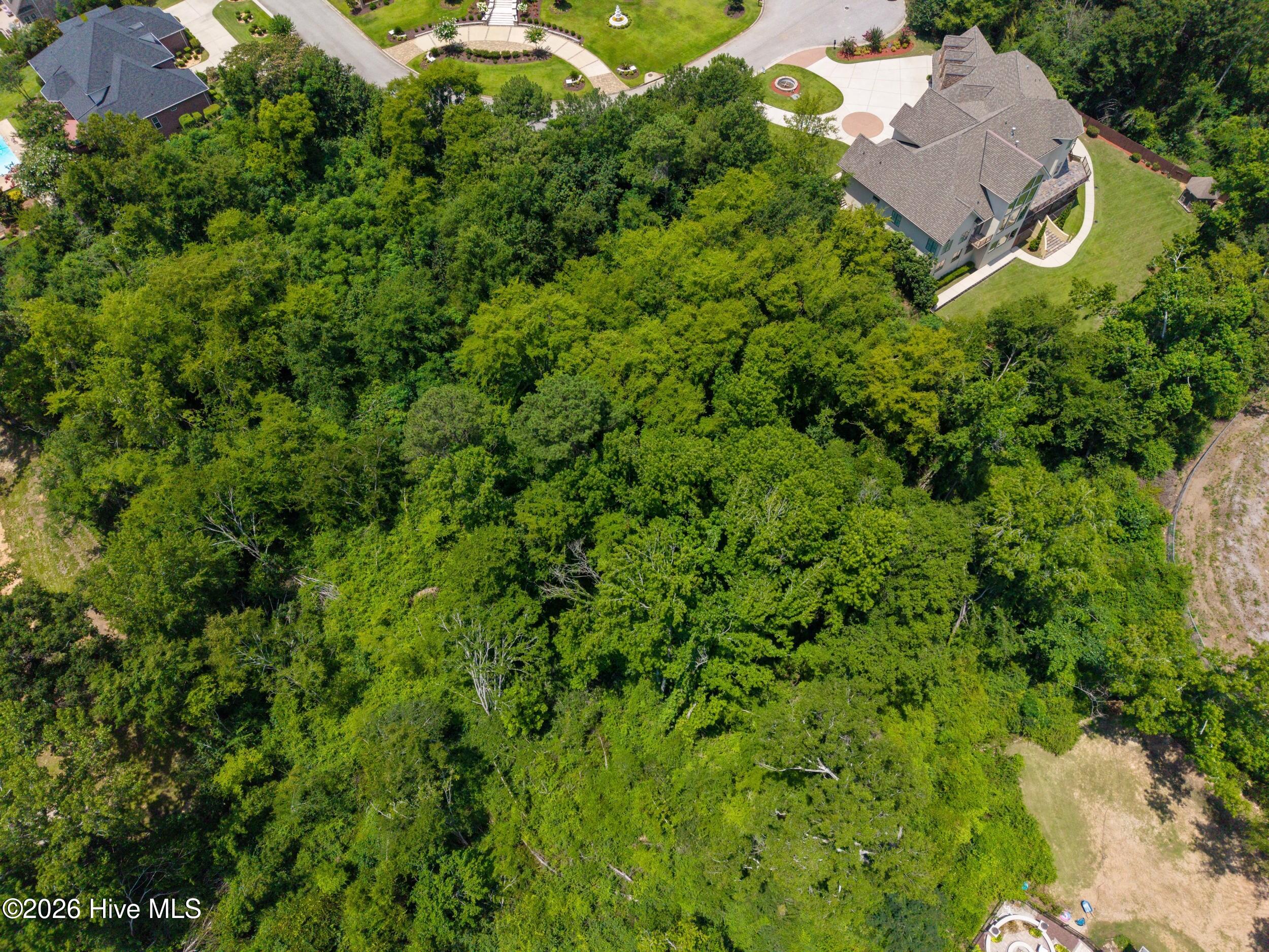 4016 Firethorn Court Augusta, GA 30907 - Photo 8 of 12
