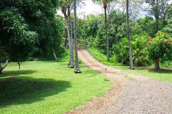 6820 B Koolau Road Kilauea, HI 96754 - Photo 2 of 4 a view of a park with a tree