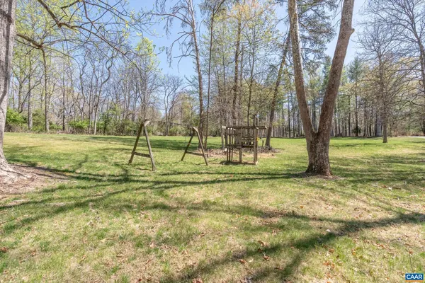 a view of a park with large trees