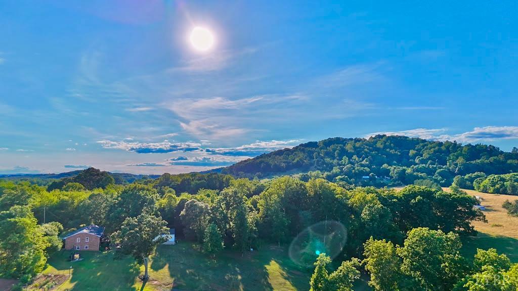6481 Stewartsville Road Moneta, VA 24121 - Photo 79 of 81